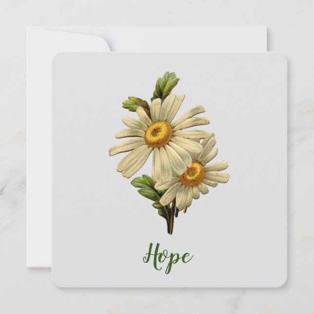 Daisy Hope Inspirational (Frente)
