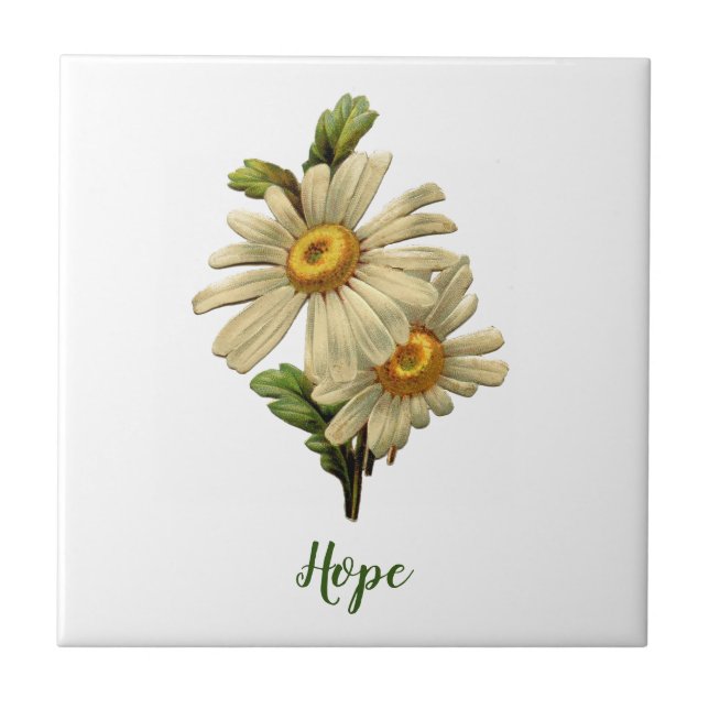 Daisy Hope Inspirational (Frente)
