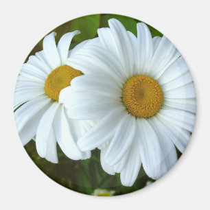 Daisy Imã de geladeira Cheerful Flower Daisy Gift