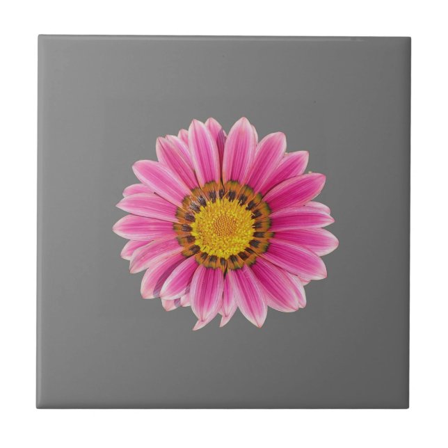 Daisy In Pink (Frente)