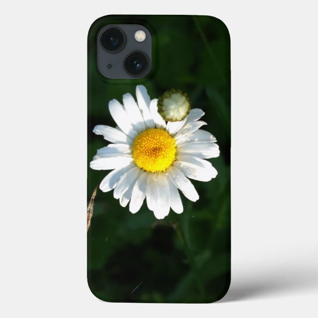 Daisy iPhone 6/6, Tough Xtreme (Verso)