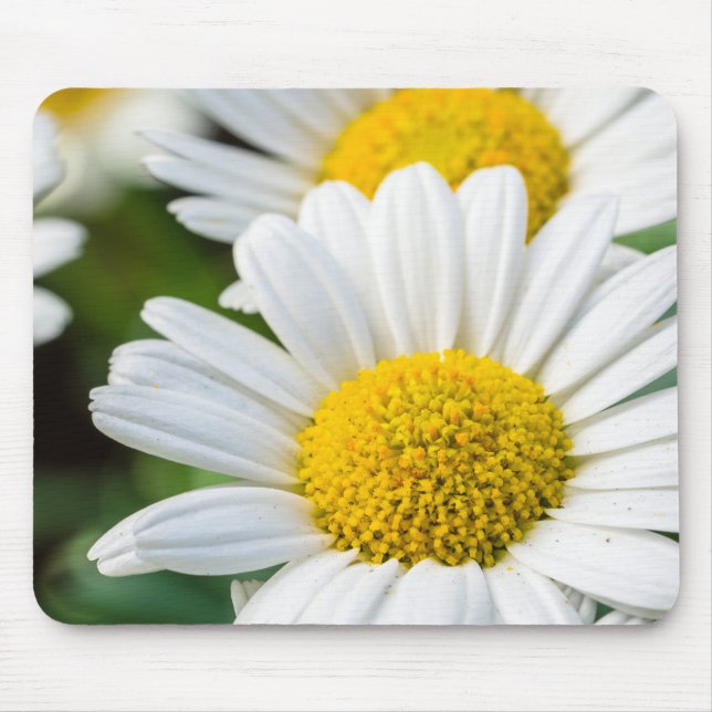Daisy Mouse Pad (Frente)