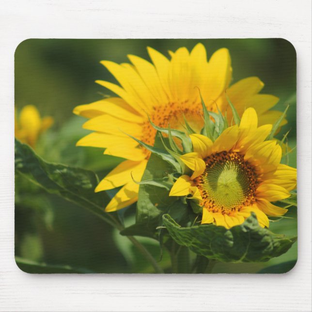 Daisy Mousepad - HAMbyWhiteGlove (Frente)