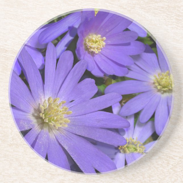 Daisy Porta copos Wildflower Purple Daisy Decor (Frente)
