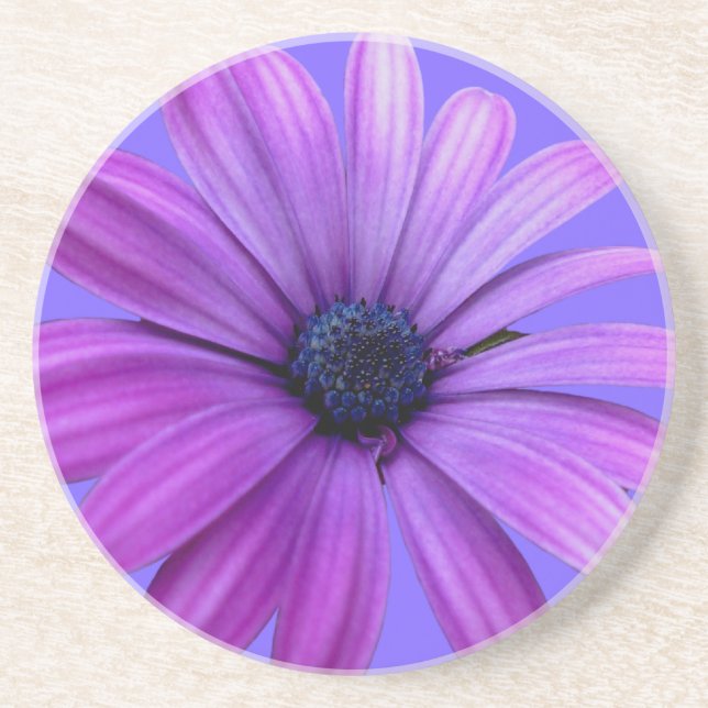 Daisy Porta copos Wildflower Purple Daisy Decor (Frente)