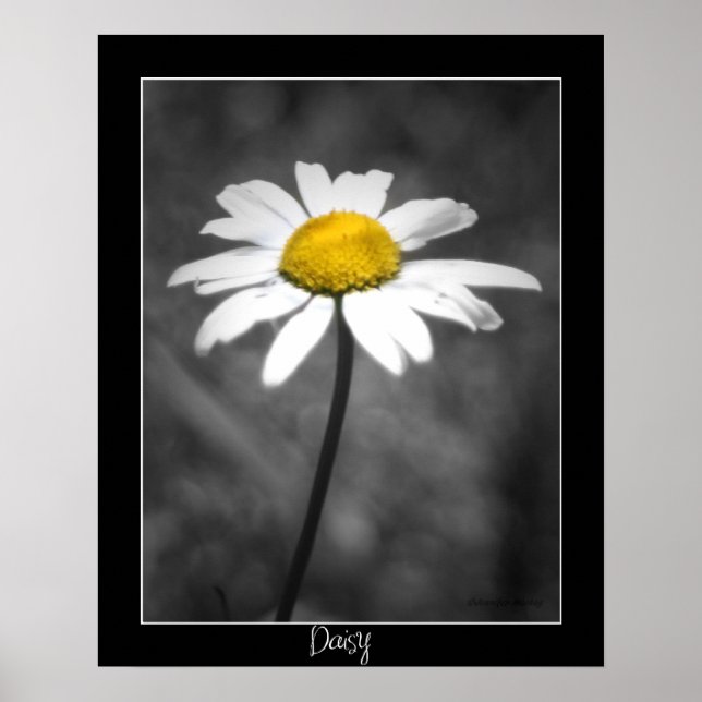 Daisy Poster (Frente)