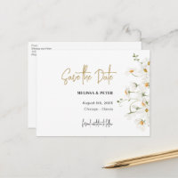 Daisy primavera blooms salve o cartão postal