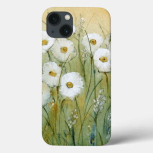 Daisy Primavera I