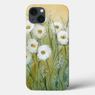 Daisy Primavera I