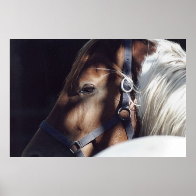 Dallas Impressão (Frente)