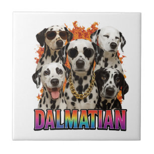 Dálmata