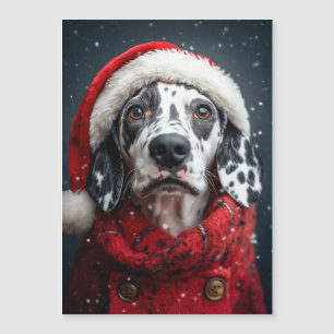 Dálmata Festivo com Roupas de Papai Noel