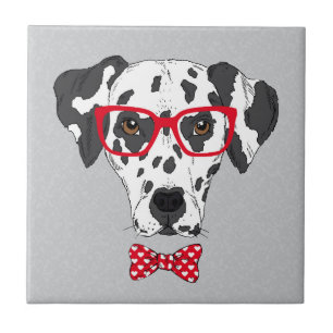 Dalmatian elegante