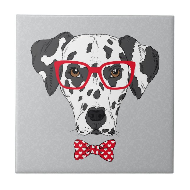 Dalmatian elegante (Frente)