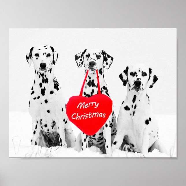 Dalmatianos desejando feliz poster de Natal (Frente)