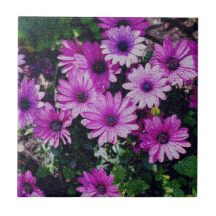 Damas Roxas Africanas Arte Floral