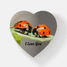 Damybugs Heart Shaped Paperweight