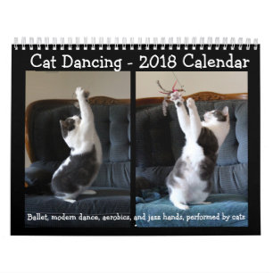 Dança do gato - calendário 2018