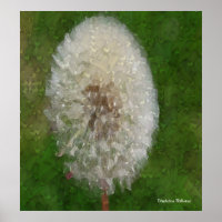 Dandelion Ballerina por Celeste Sheffey Poster