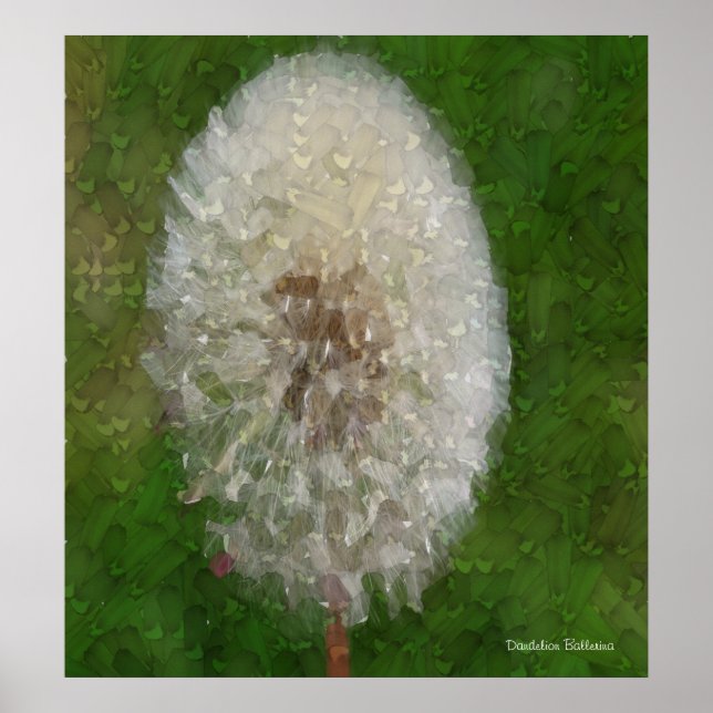 Dandelion Ballerina por Celeste Sheffey Poster (Frente)