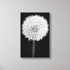 Dandelion Canvas