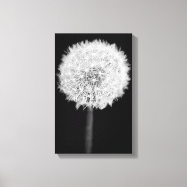 Dandelion Canvas (Frente)