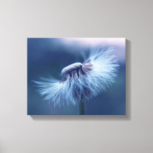 Dandelion Canvas Art