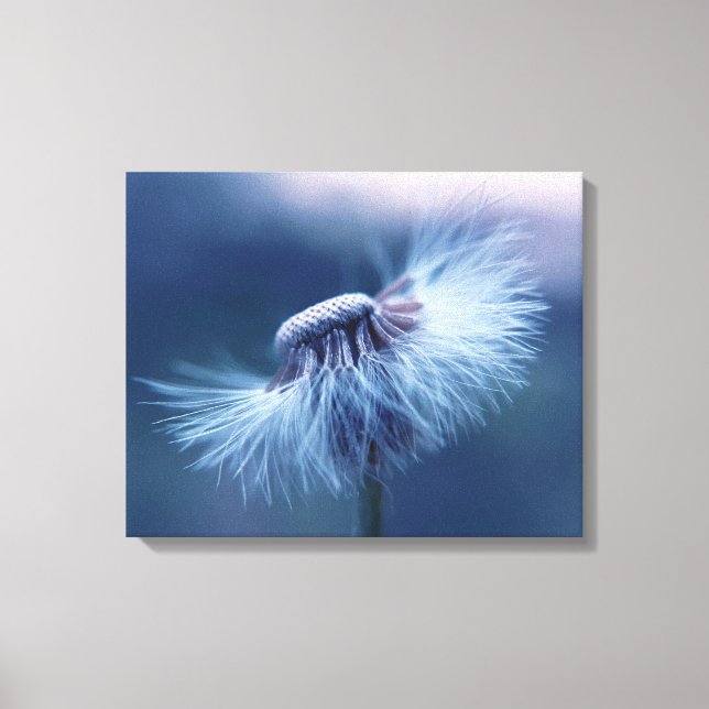 Dandelion Canvas Art (Frente)