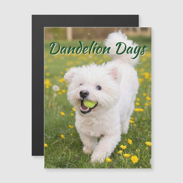 Dandelion Days (Frente/Verso)