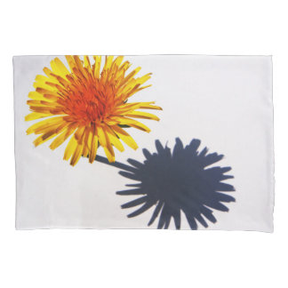 Dandelion e Shadow pcna
