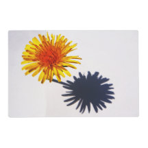 Dandelion e Shadow pmcna