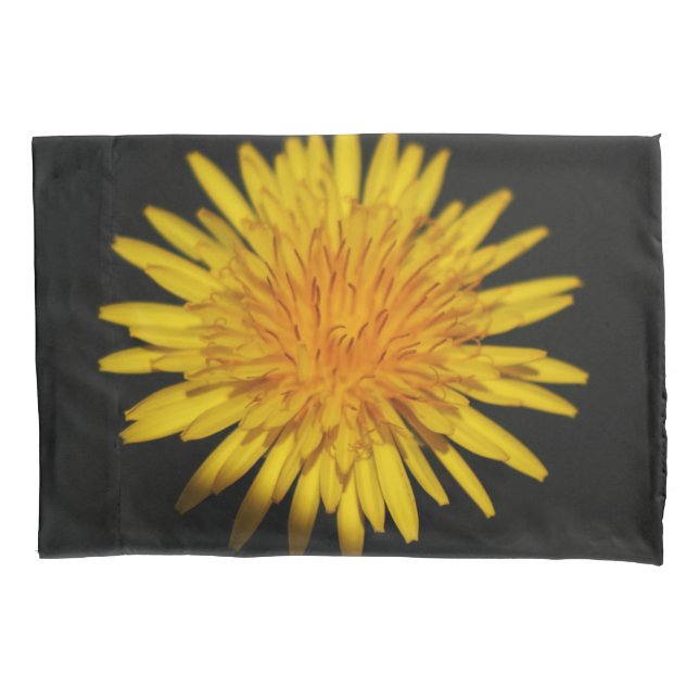 Dandelion Flower pcnm (Frente)