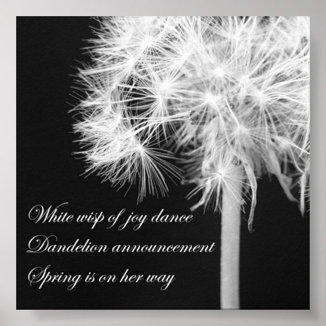 Dandelion Haiku Poster (Frente)