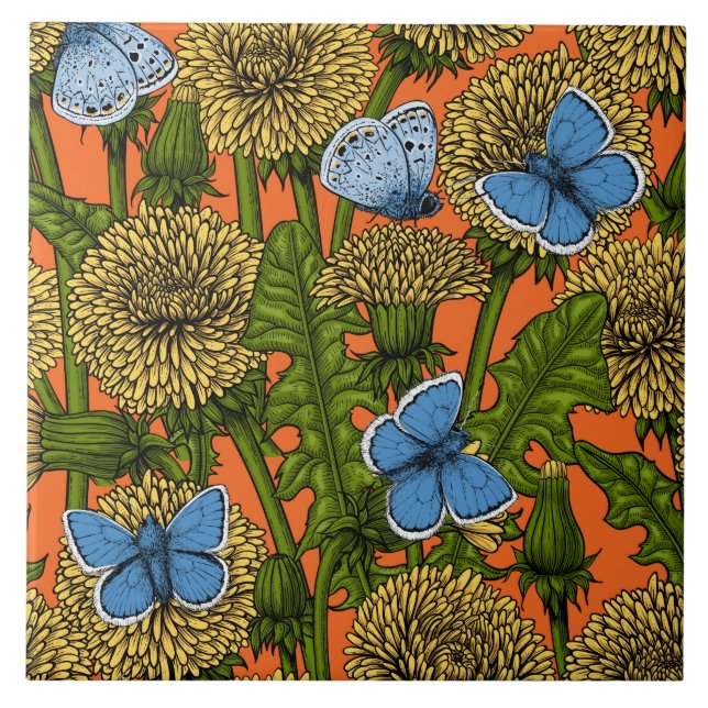 Dandelion medow (Frente)