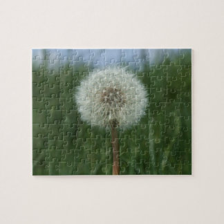 Dandelion Quebra-cabeça