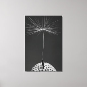 Dandelion Seed Photo on Canvas