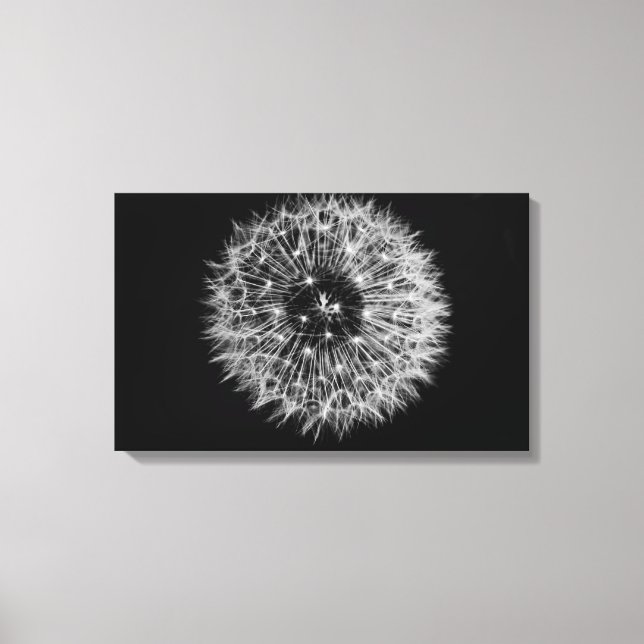 Dandelion Stretch Canvas Print (Frente)