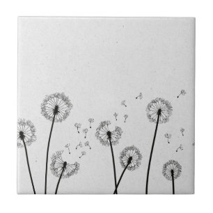 Dandelions Flores Pappus Spores Cinzas