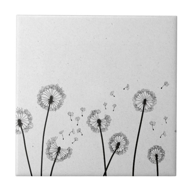 Dandelions Flores Pappus Spores Cinzas (Frente)