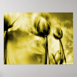 Dandélions iluminados por trás em Poster Antiquado