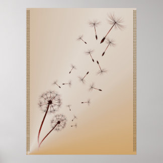 Dandelions Impressão