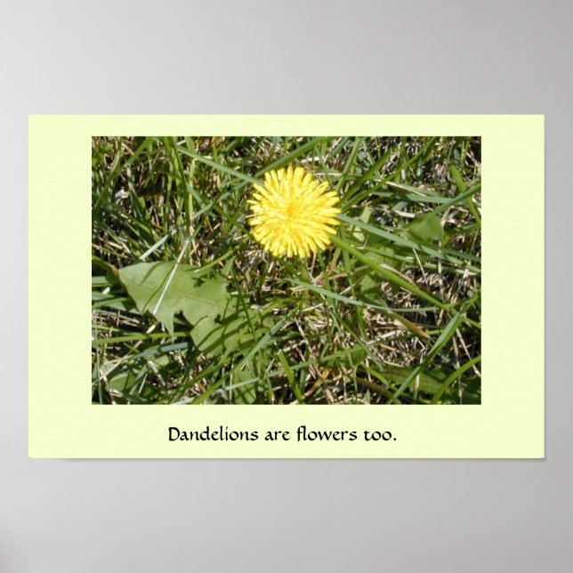 "Dandelions são flores" poster (Frente)