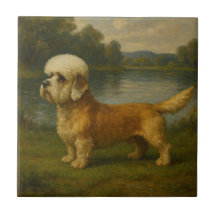 Dandi Dinmont Terrier