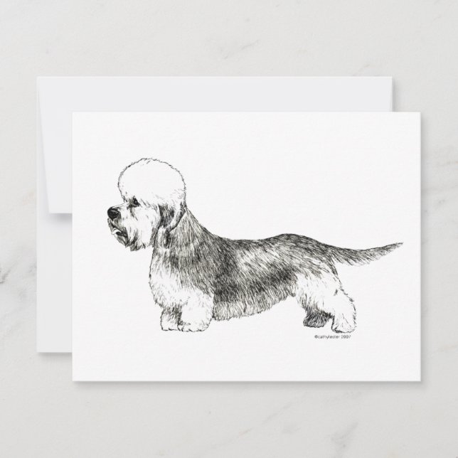 Dandie Dinmont Terrier (Frente)