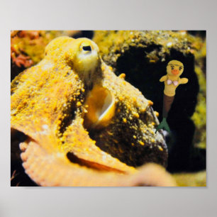 Danni, a Poster Mermaid