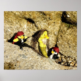 Danni, Poster da Sereia e Pirates