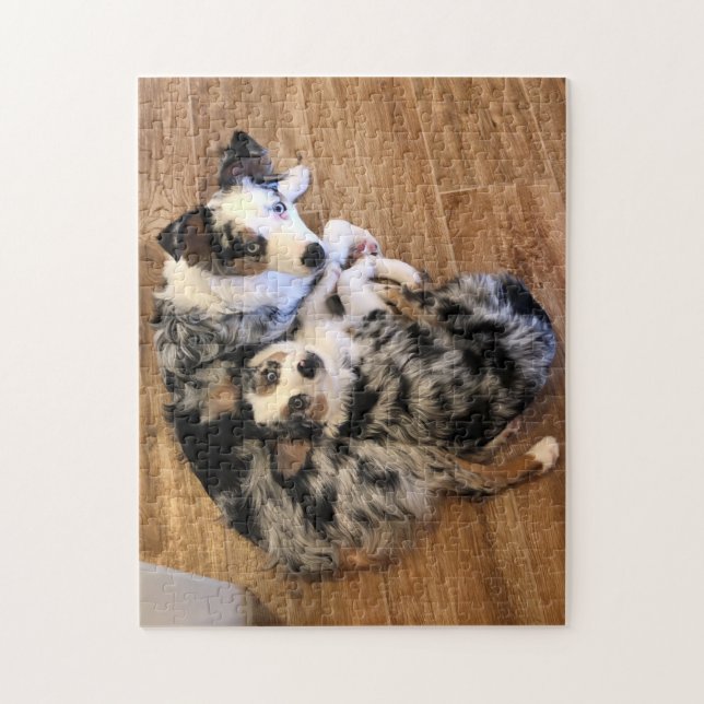 Dany e Lily Mini Aussies Quebra-cabeça (Vertical)