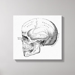 Dark Academia Skull Canvas Art
