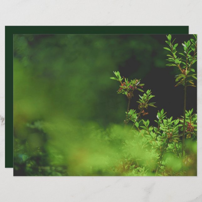Dark green forest Scrapbook Paper (Frente/Verso)