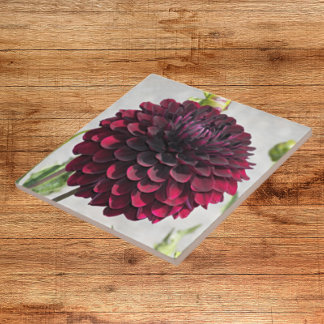 Dark Red Dahlia Bloom Floral Cerâmica Azulejo